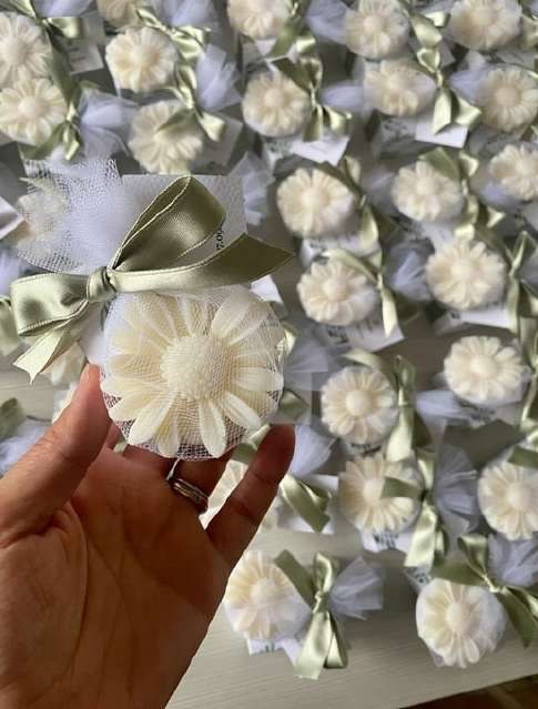 Daisy Bloom